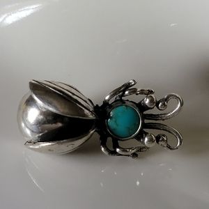 Beautiful native american bug pin